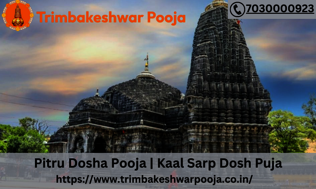 Pitru Dosha Pooja  Kaal Sarp Dosh Puja - Image sub Pitru Dosh Pooja | Kaal Sarp Dosh In Trimbakeshwar