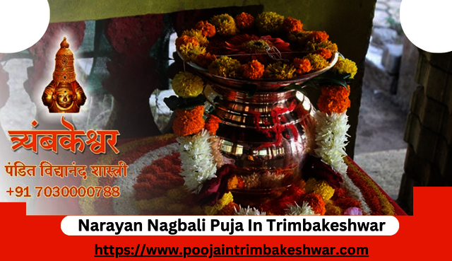 Narayan Nagbali Puja In Trimbakeshwar Kaal Sarp Dosh Puja In Trimbakeshwar | Pooja In Trimbakeshwar