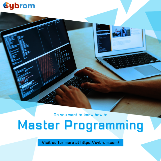 Master programming  Picture Box