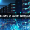 The-Benefits-Of-SaaS-In-B2B... - The Benefits Of SaaS In B2B...