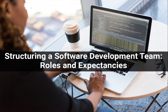 Structuring-a-Software-Development-Team-Roles-and- Structuring a Software Development Team: Roles and Expectations