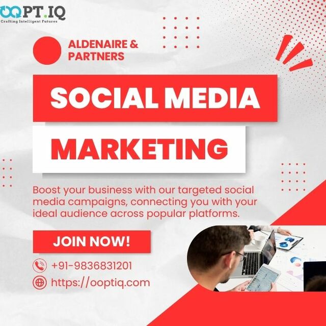 SMO company in India Picture Box