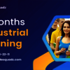 6-months-Industrial-training - Picture Box