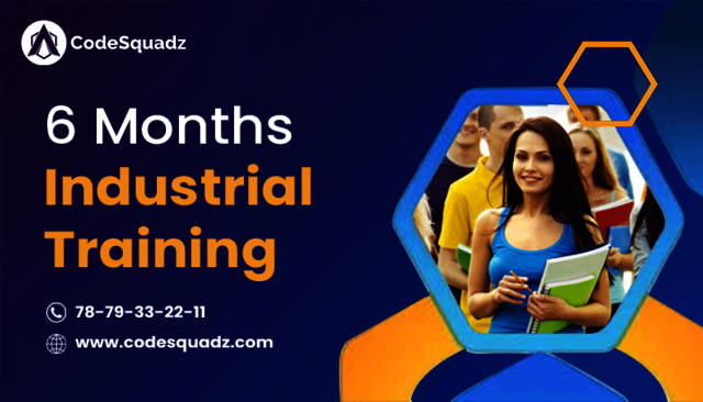 6-months-Industrial-training Picture Box