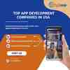 Top App Development Compani... - Picture Box