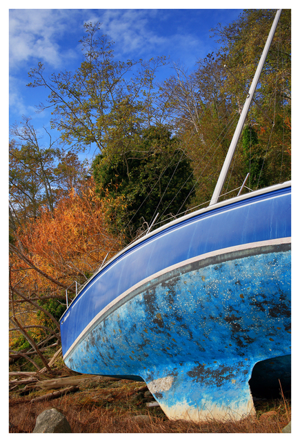 Abandoned Boat 2024 5 Comox Valley