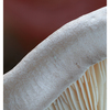 Mushroom 2024 2 - Close-Up Photography