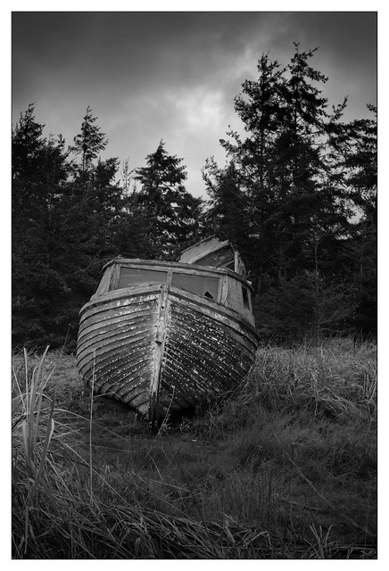 Frech Creek 2024 2 Black & White and Sepia