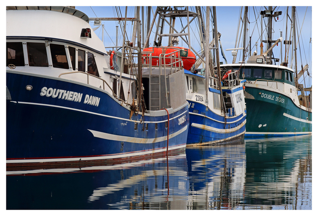 Frech Creek 2024 1 Vancouver Island