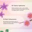 How to Use Essential Oils - kanha nature oils