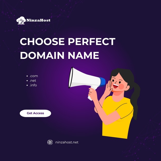 Choose perfect Domain name with NinzaHost NinzaHost