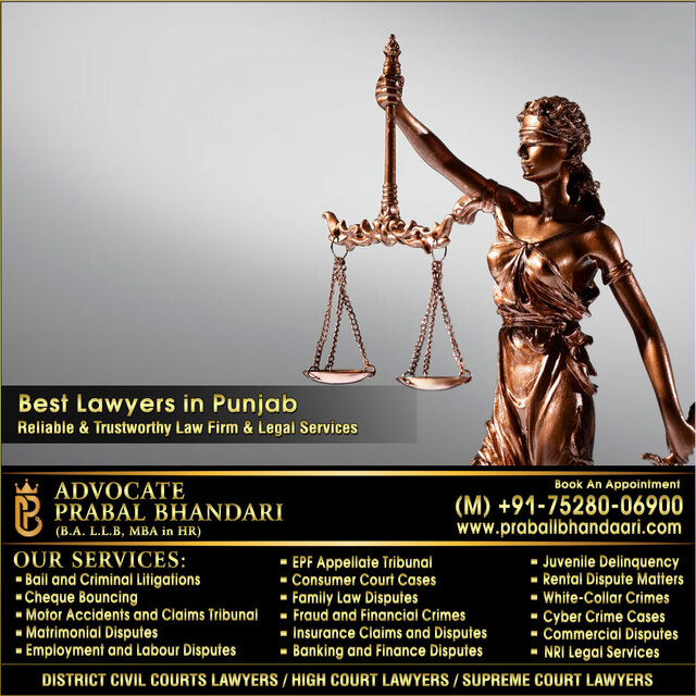 Best-Lawyers-in-Punjab Advocate Prabal Bhandari