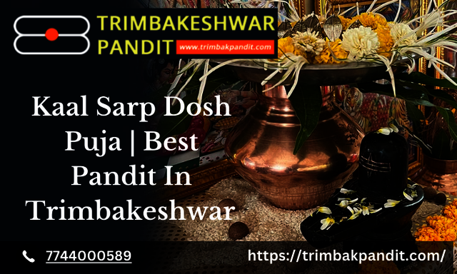 Kaal Sarp Dosh Puja - Trimbak pandit All Pooja And  Rituals In Trimbakeshwar | Trimbak Pandit