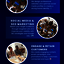 Blue Modern Business Infogr... - Picture Box