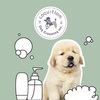 dog pet grooming near me - Coquitlam Dog Grooming Inc