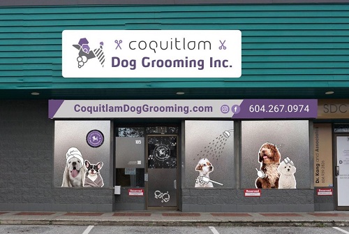 pet clipping near me Coquitlam Dog Grooming Inc.