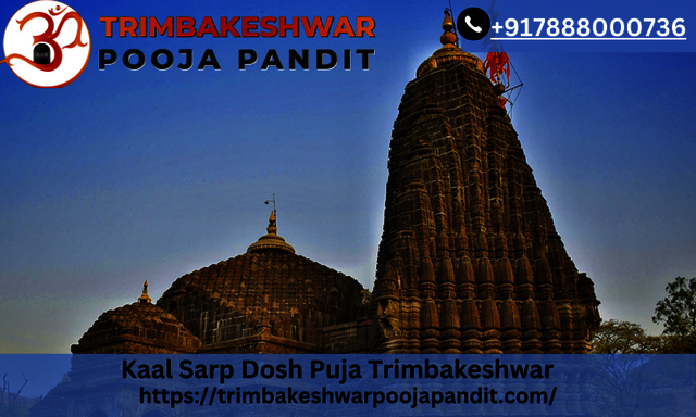 Kaal Sarp Dosh Puja Trimbakeshwar Kaal Sarp Dosh Puja And Pitra Dosh | Trimbakeshwar Pooja Pandit