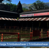 trimbakeshwarpanditji
