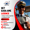 AME EASA License - Picture Box