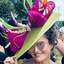 Ascot fascinators | hatsbyc... - Picture Box