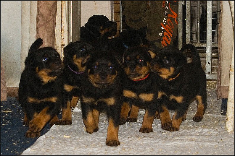 472526937 2010157566127150 9069809372908901573 n - 