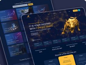 Software Development Picture Box