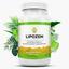 lipozem - Lipozem: Harnessing Science for a Healthier You