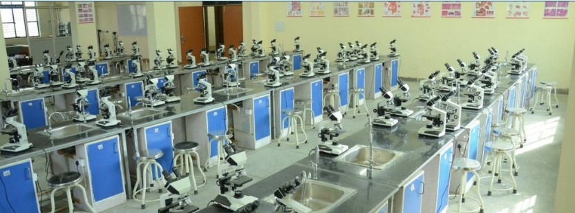 BioTech Picture Box