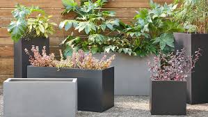 plants image Best Garden Pots Wholesale
