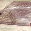 area rug cleaners - The Steam Team Inc