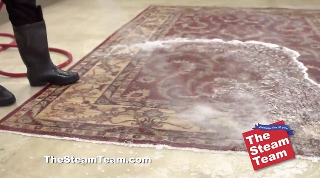 area rug cleaners The Steam Team Inc.