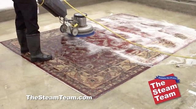 rug cleaner The Steam Team Inc.