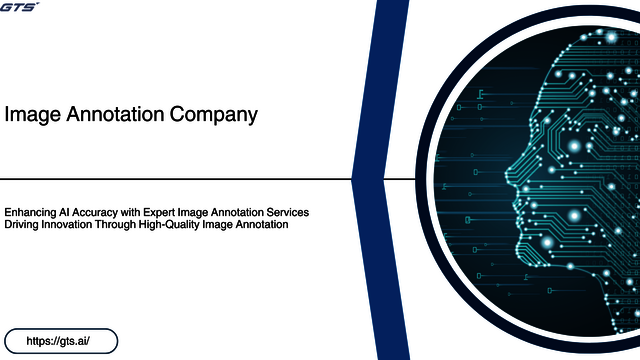 httpsgts.ai (3) data annotation