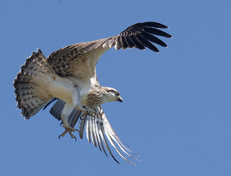 53141738372 1b7be85fa2 c - 