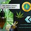 Rick Simpson Cannabis Oil: ... - Buy Rick Simpson Oil