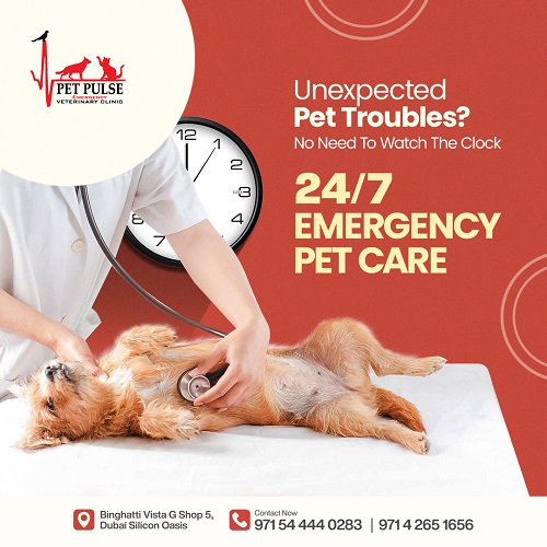 Pet Pulse Pet Pulse Emergency Veterinary Clinic