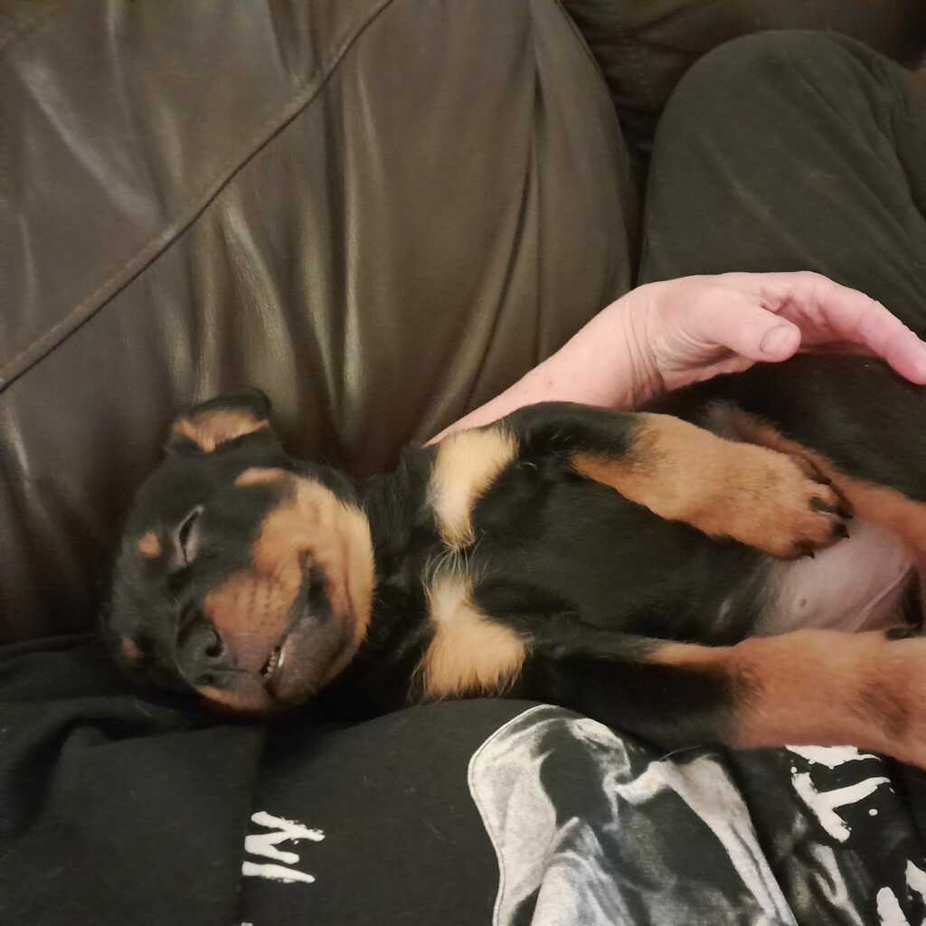 Afbeelding van WhatsApp op 2025-01-15 om 21.12 - 