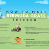 Infographic-How-To-Make-Ber... - Picture Box