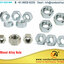 Monel-Alloy-Nuts - Picture Box