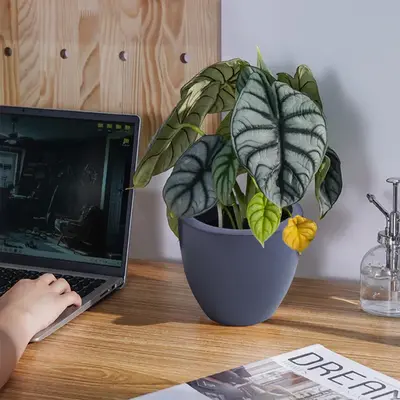 jpppp image (1) Top Benefits of Using FRP Planters for Indoor and Outdoor Gardening