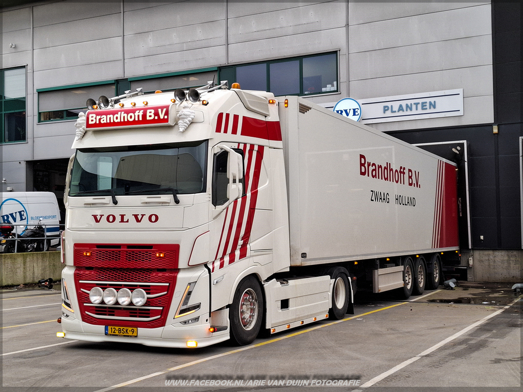 doe (6)-BorderMaker - 