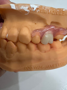 9164bb3f-1be4-4379-a03d-30d120641fae Cusp Dental Design