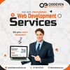 PHP development services - Picture Box