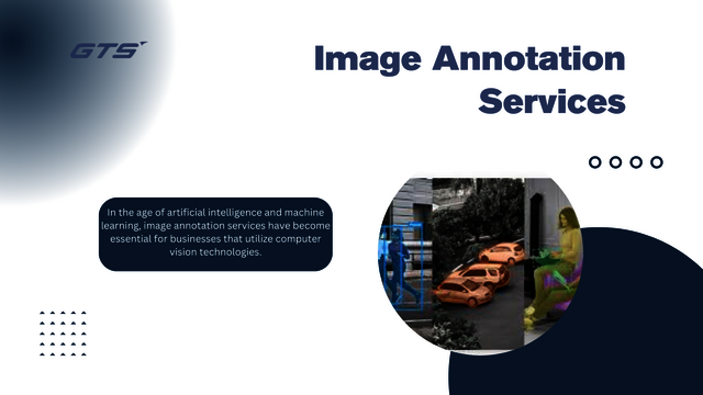 Choosing the Right Image Annotation Services for Y Picture Box