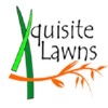 Xquisite Irrigation and Landscaping