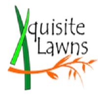 logo1 Xquisite Irrigation and Landscaping