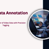 Video Data Annotation (2) - Picture Box