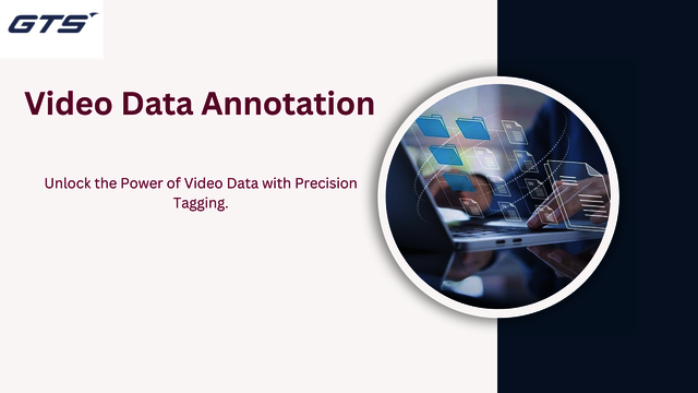 Video Data Annotation (2) Picture Box