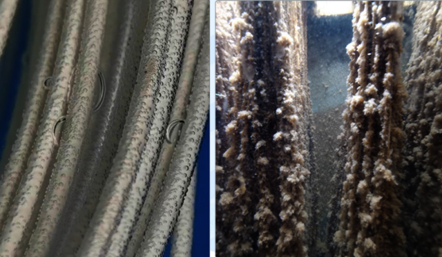 Best MBR Plant Manufacturers in USA Picture Box