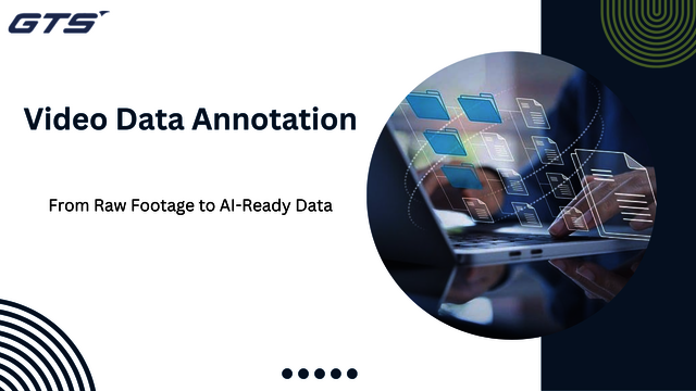 Video Data Annotation (4) Picture Box